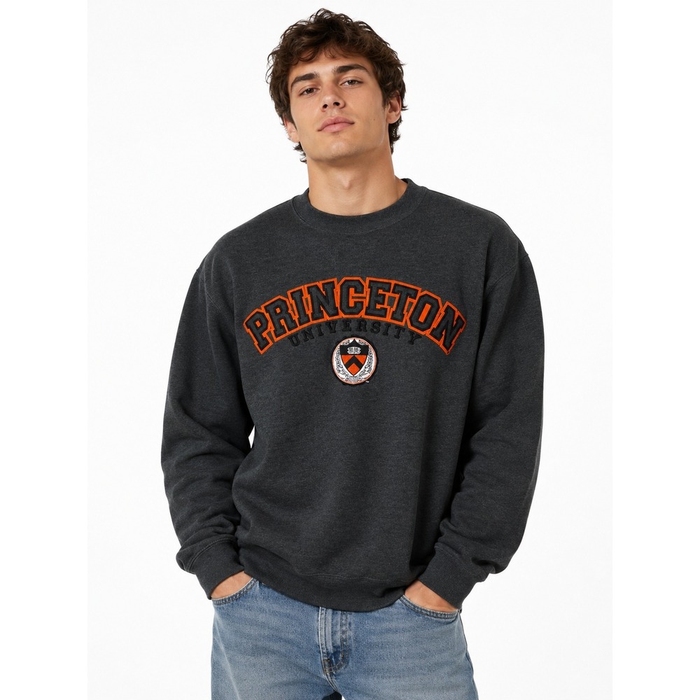 Champion | Princeton University Sweatshirt Medium Gray Crewneck Fleece| M